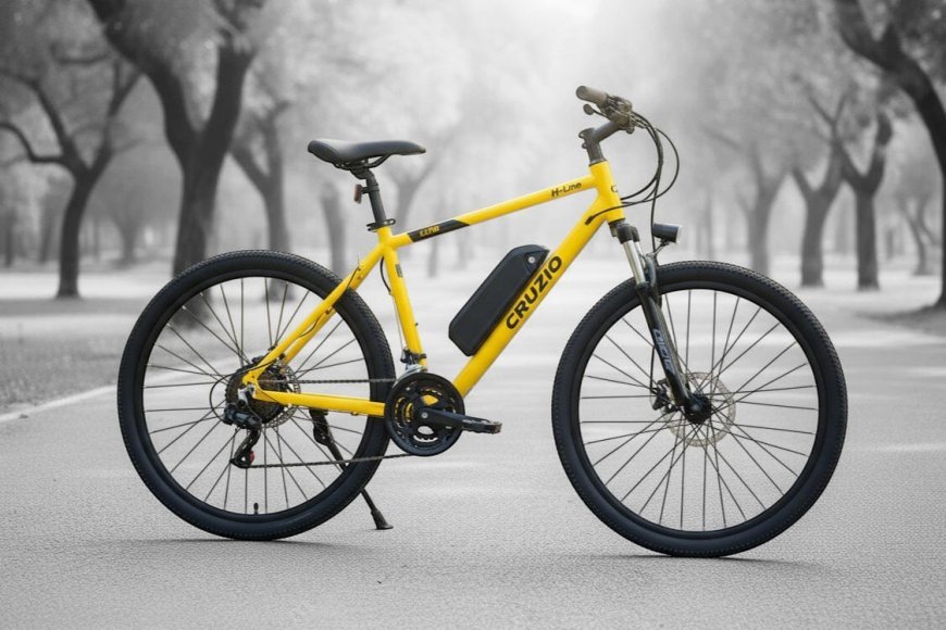 CRUZIO BIKES Receives Order for 230 Electric Bicycles from Himachal Pradesh Development Department