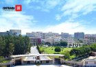 Chitkara University Online Introduces Global Accounting MBA amid Rising Demand for International Finance Skills